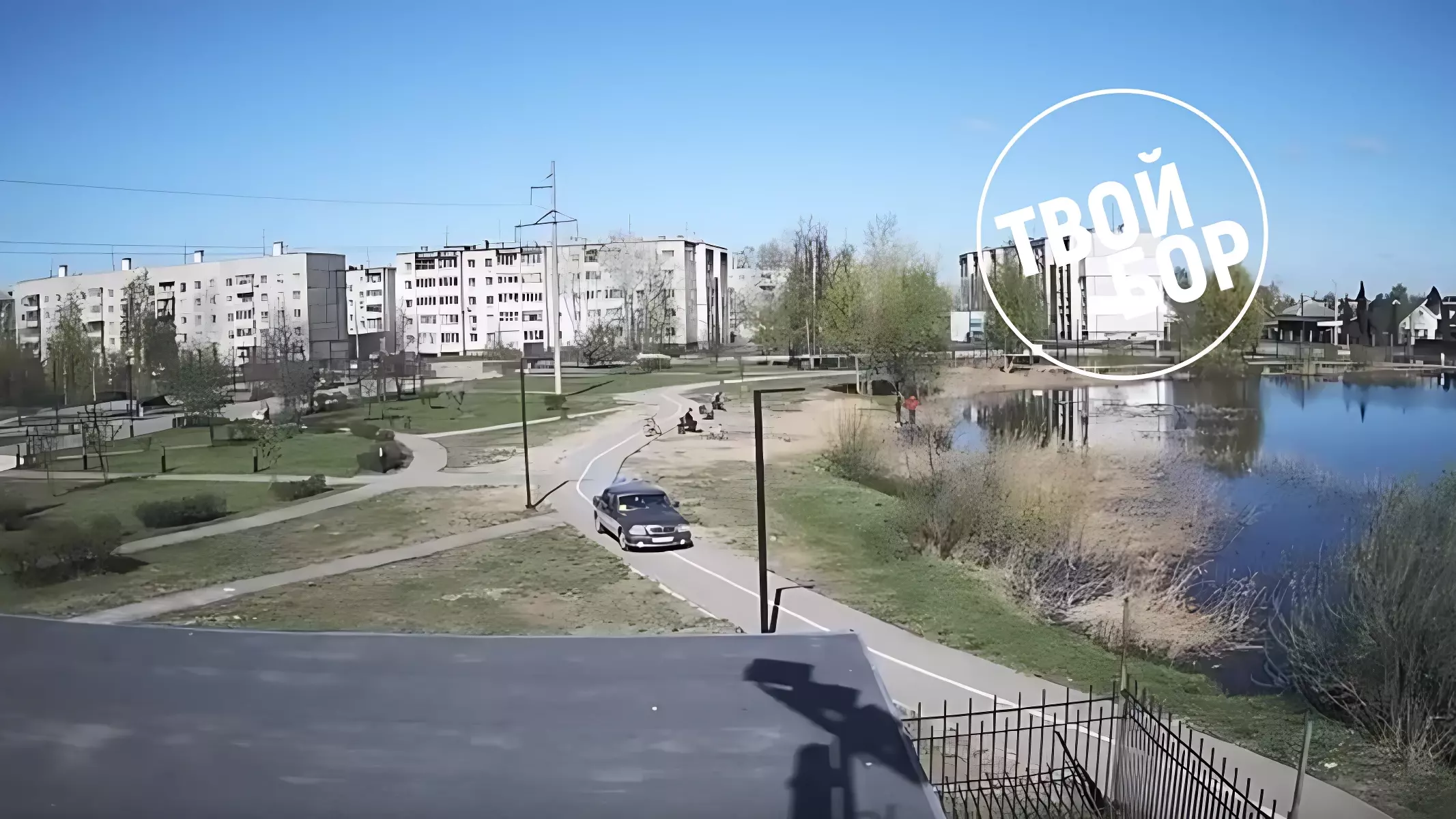Водитель проехался по парку Максимова на Бору