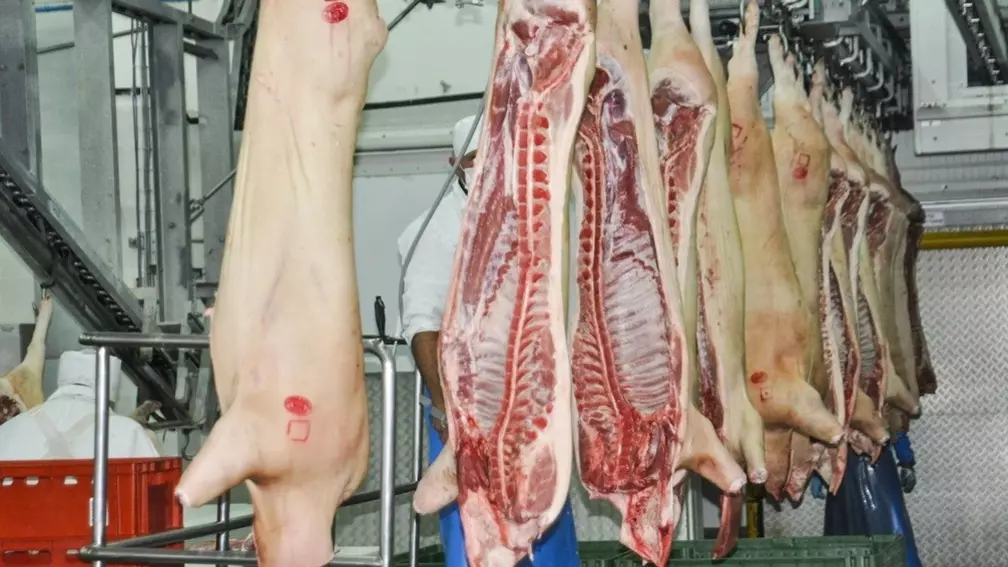 Свиного мяса стали производить больше