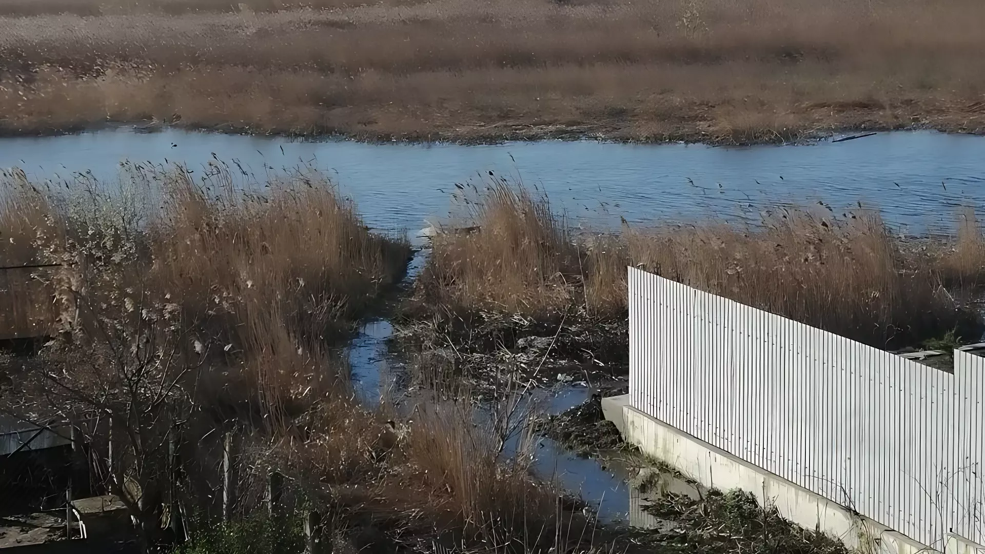 Участки возле реки в Ворсме затопило водой