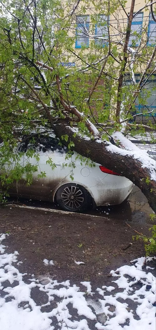 Последствия снегопада в Нижегородской области 7 мая 