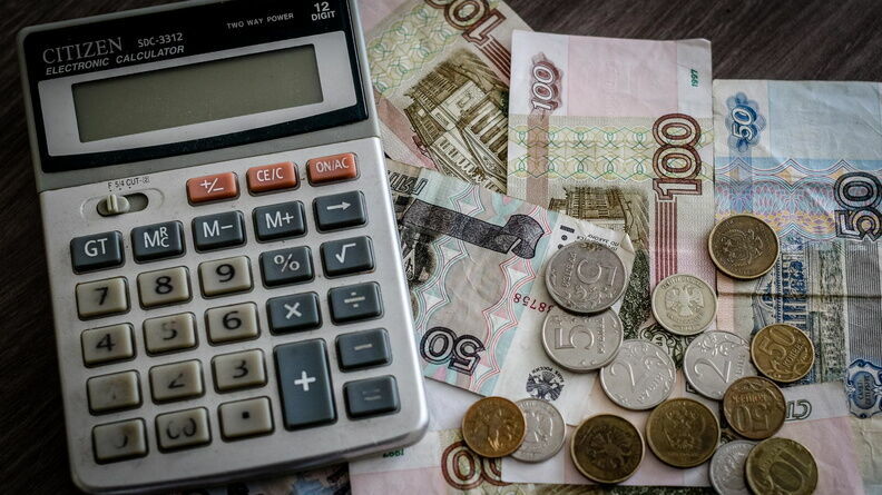 Нижегородские бизнесмены получат 28,6 млн рублей по соцконтрактам