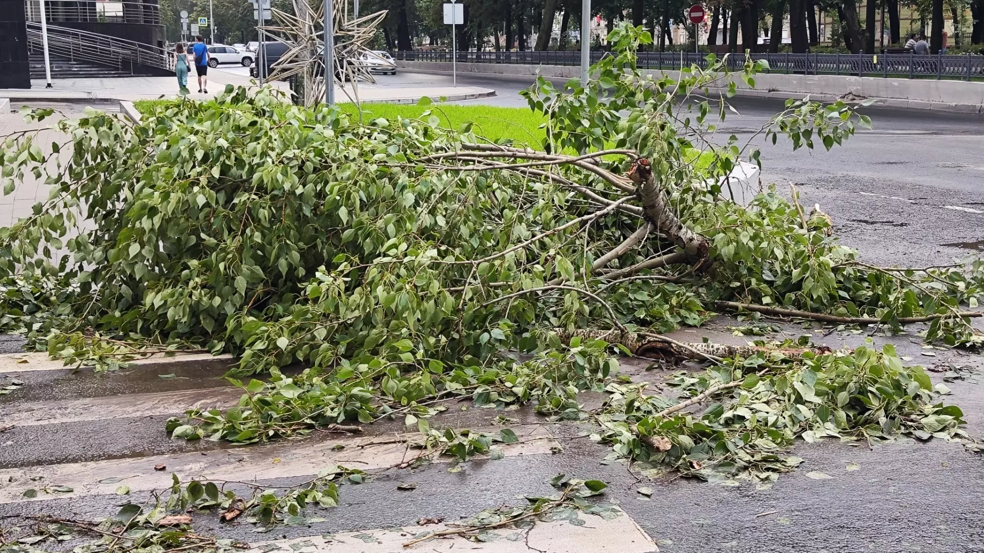 Деревья рухнули из-за сильного ветра