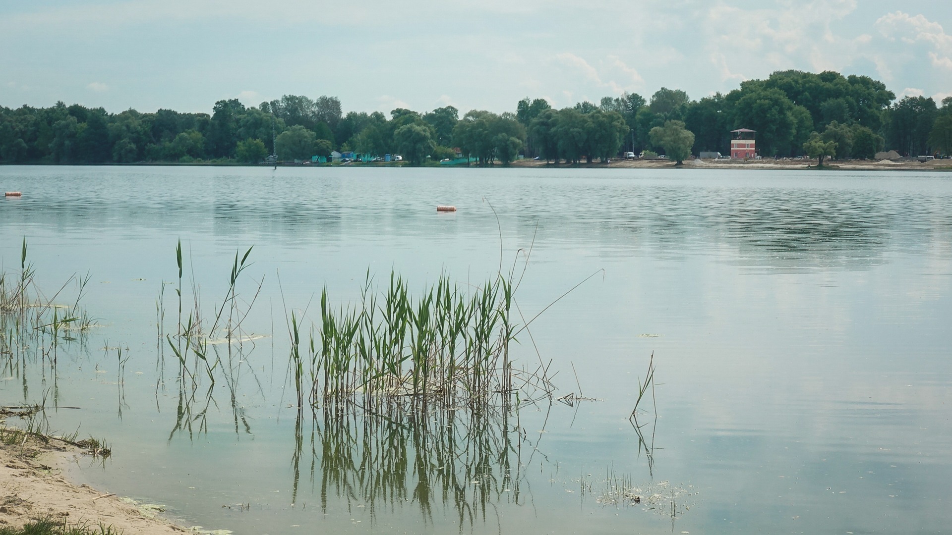 Бизнесмен запрещает жителям Сергача купаться в реке Пьяне
