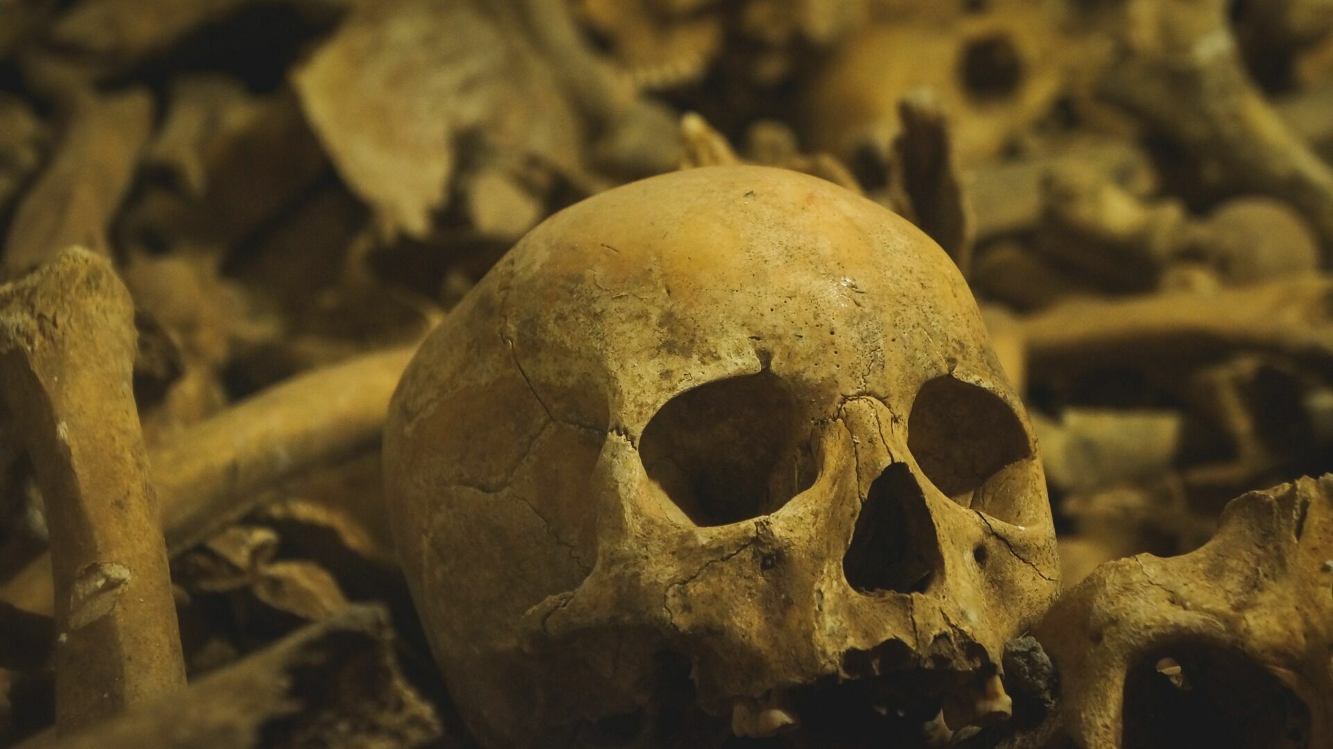 Человеческие останки заполонили площадь в Арзамасе