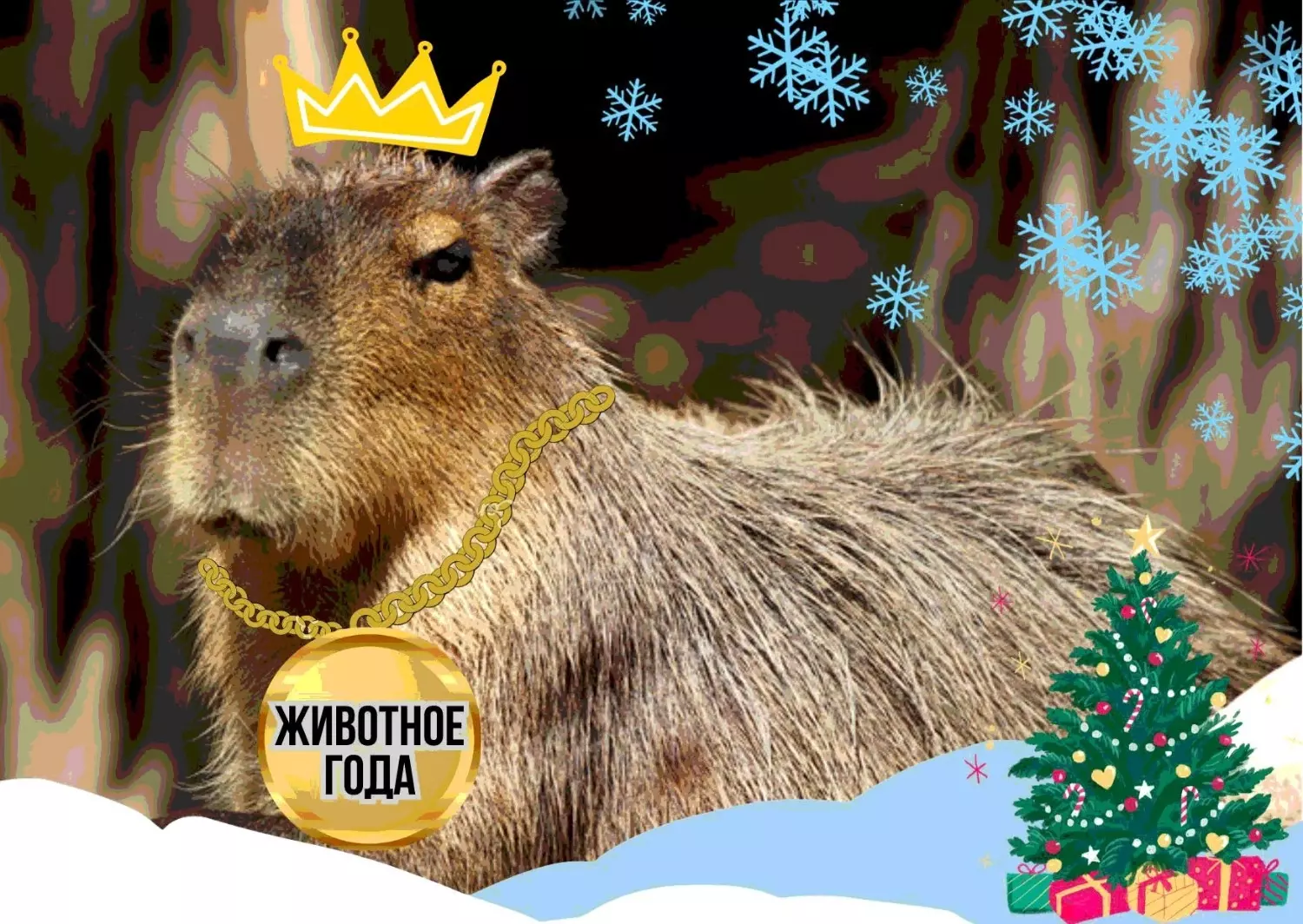 Капибара стала животным года в нижегородском зоопарке «Лимпопо»