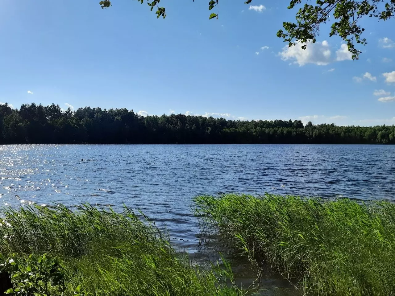Одним из известных мистических мест в Нижегородской области называют озеро Светлояр