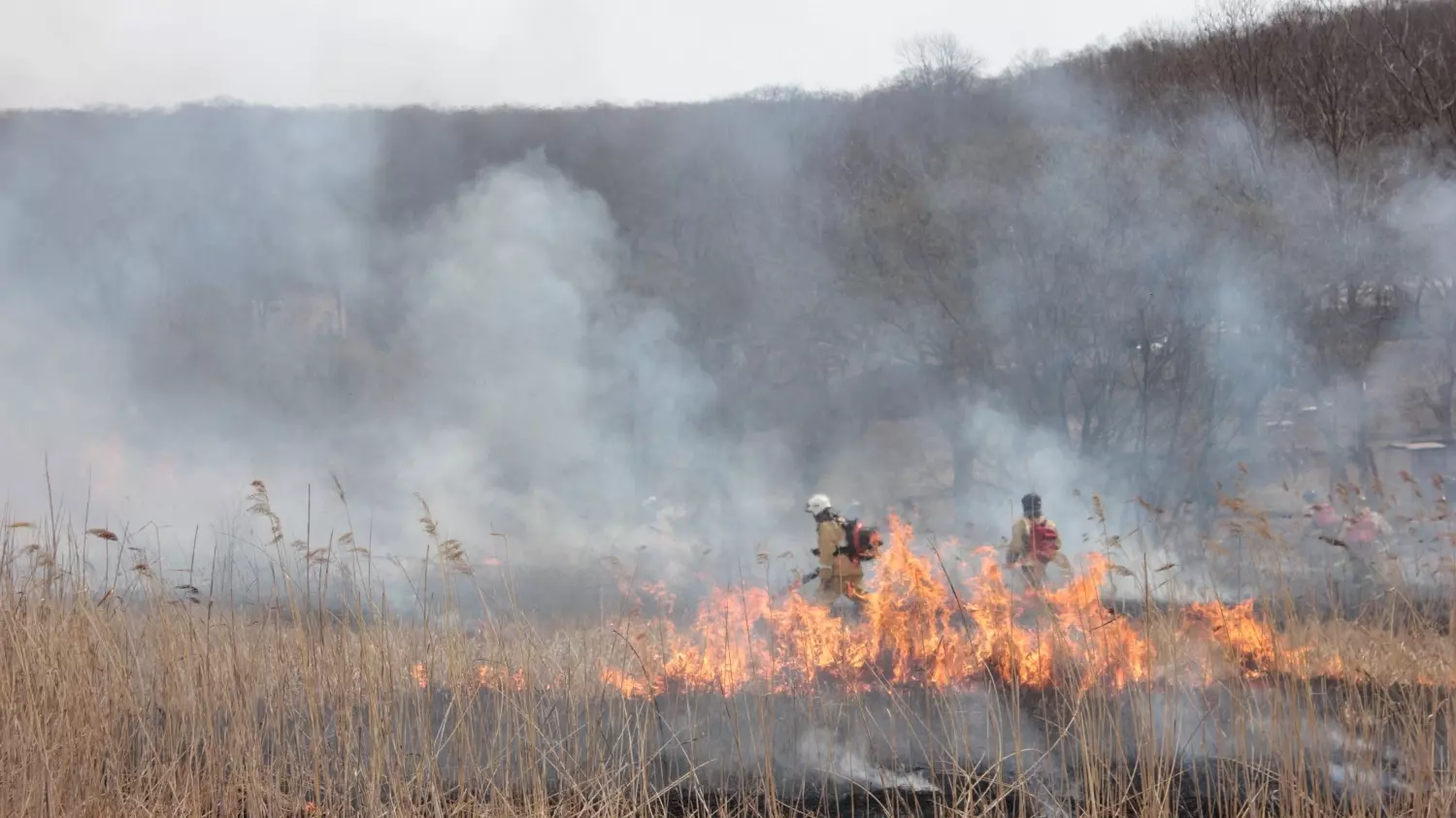 Лесные пожары могут угрожать Нижегородской области