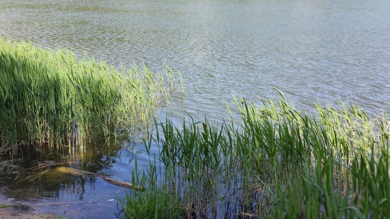 Девять озер признали непригодными для купания в Нижегородской области