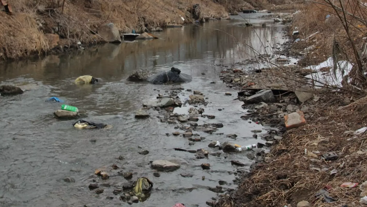 Нечистоты затопили парк «Юбилейный» в Кстове