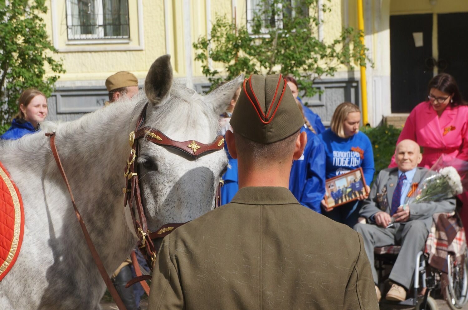 Николай Федорович и волонтеры с конем