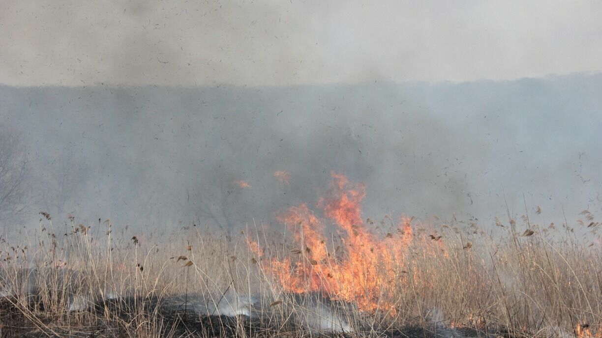 Высокая пожароопасность лесов ожидается в Нижегородской области