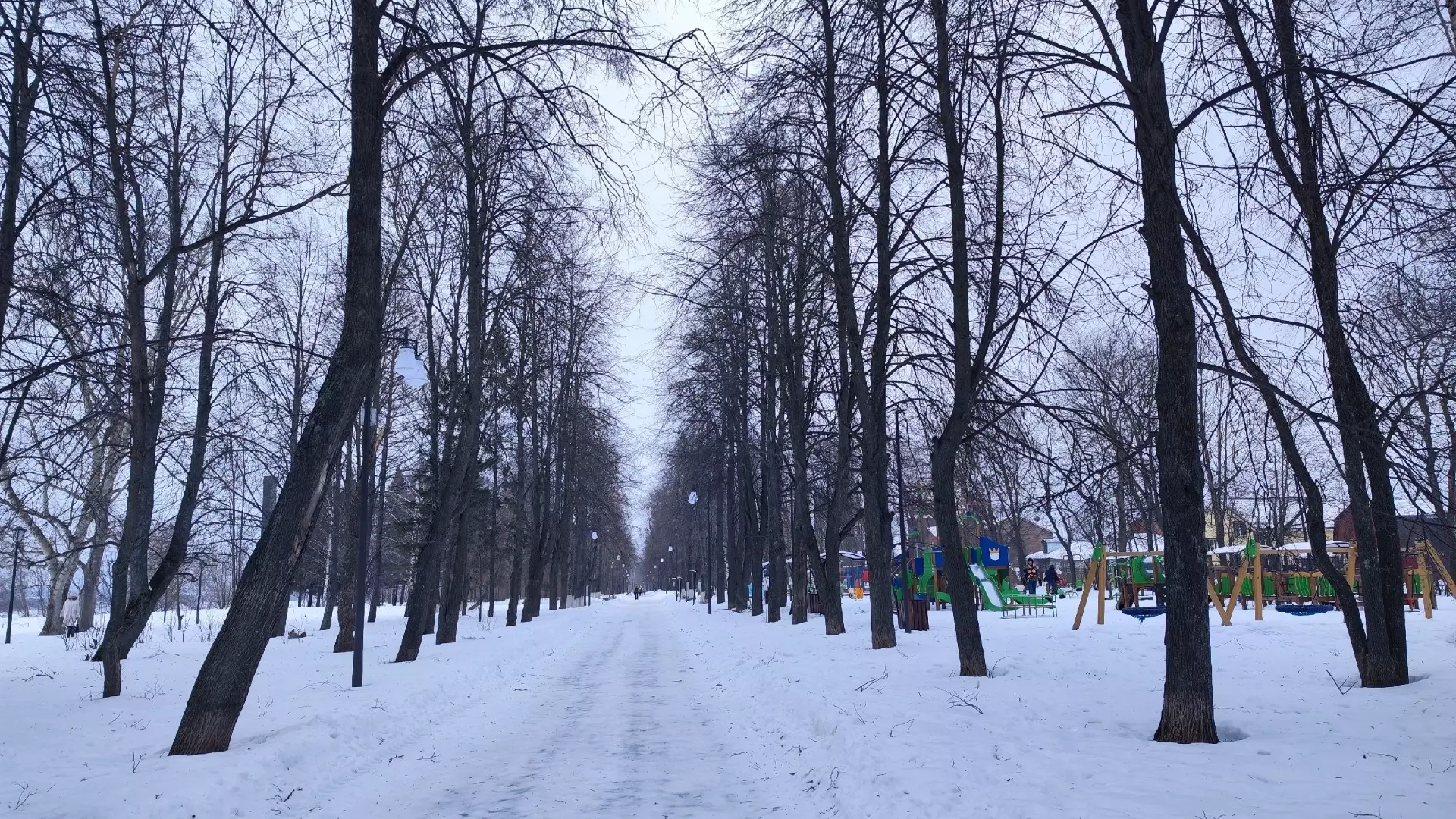 Зимой погода в Нижегородской области будет в пределах нормы