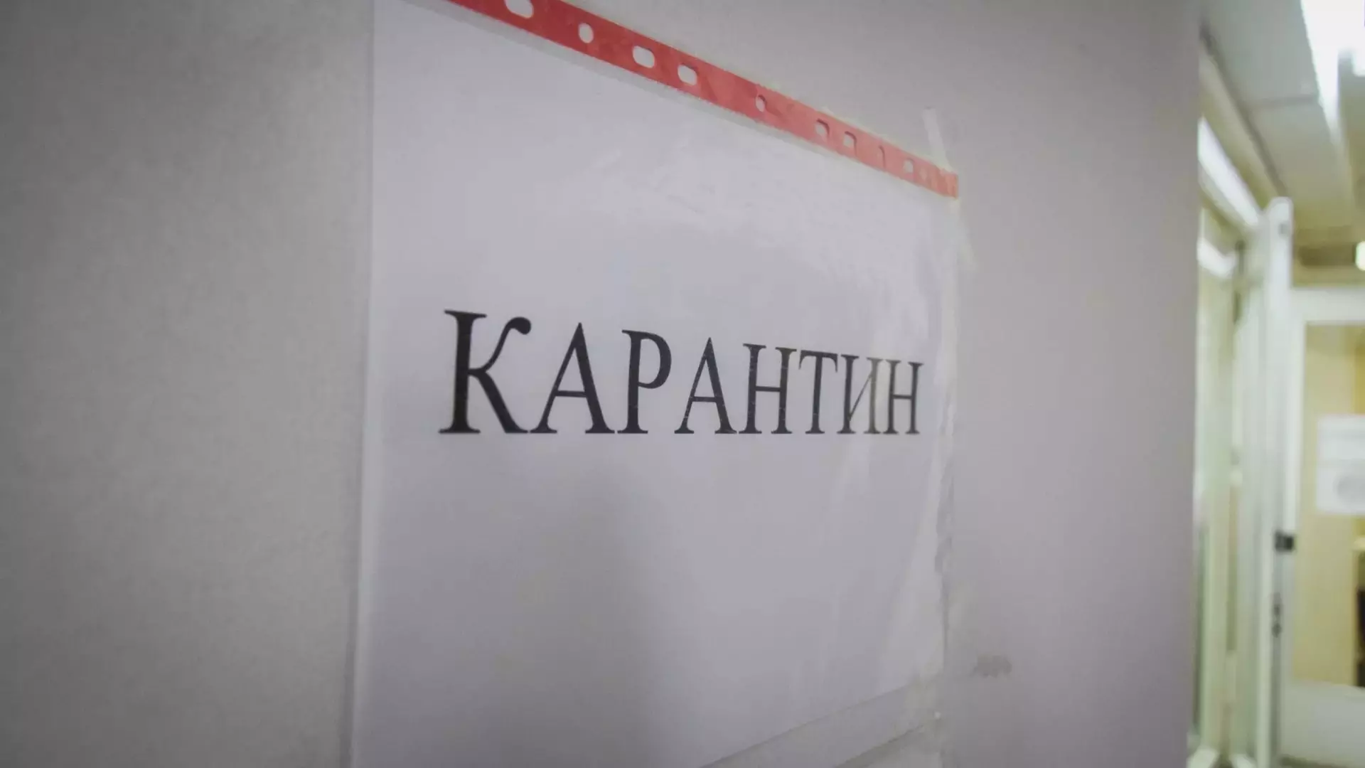 Школы и детсады Нижегородской области закрыли на карантин