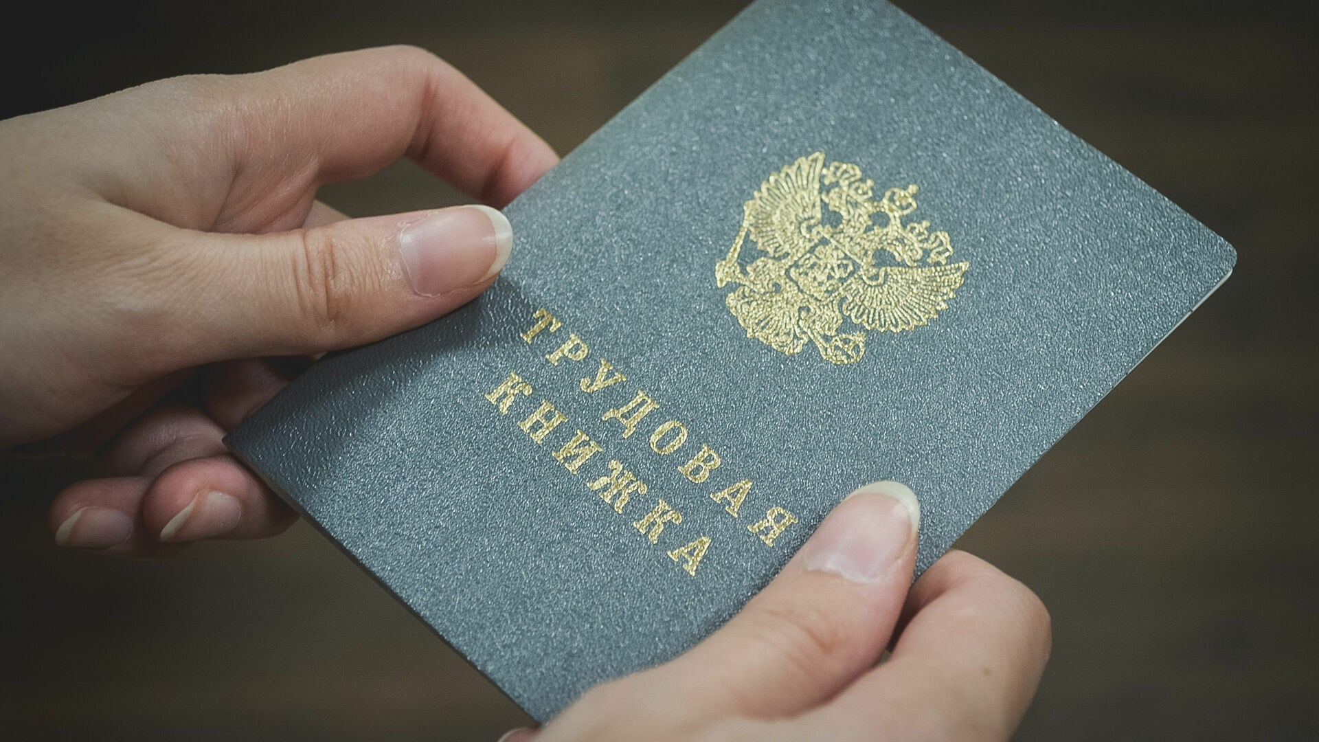 55% нижегородских предпринимателей берут на работу беженцев из Украины