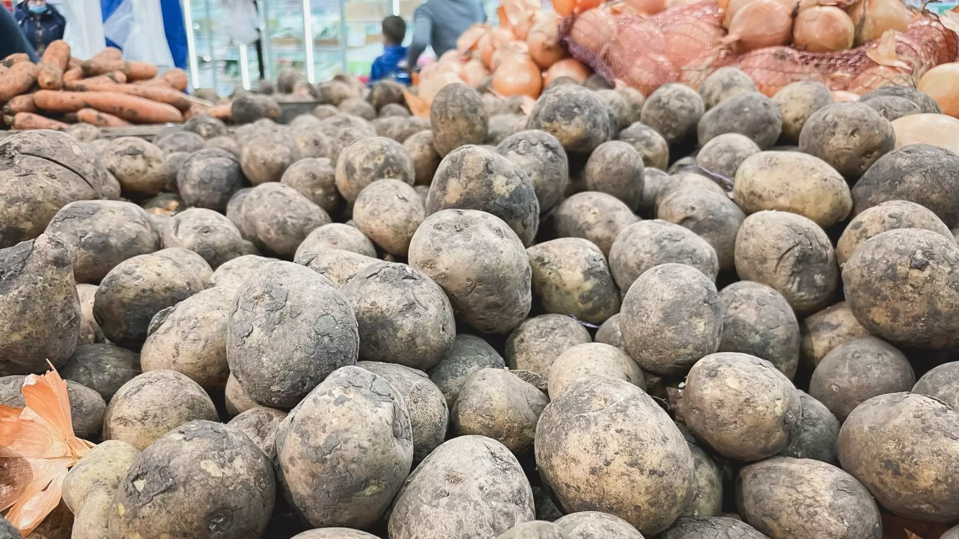 Урожай картошки в России побил рекорды 30-летней давности