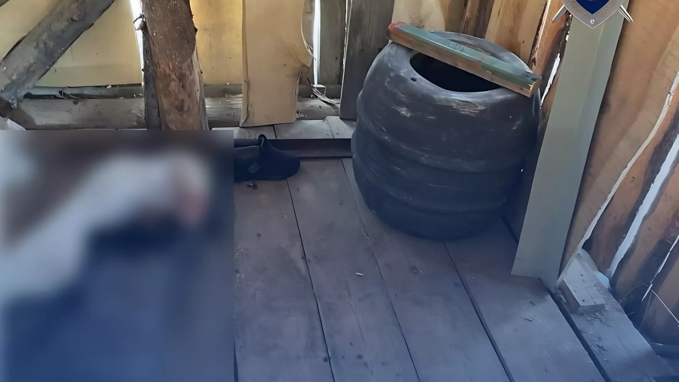Опубликовано видео с места обнаружения тела пенсионерки без головы в Ветлуге