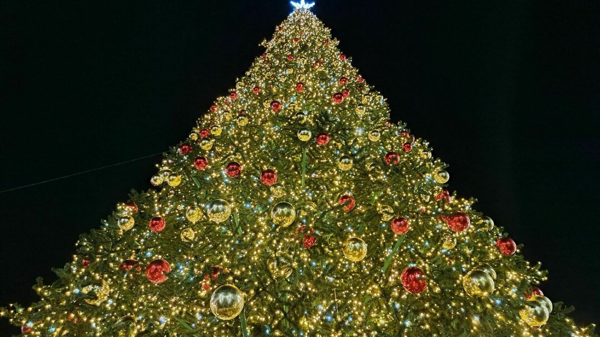 Нижегородцев призвали не водить больных детей на новогодние елки