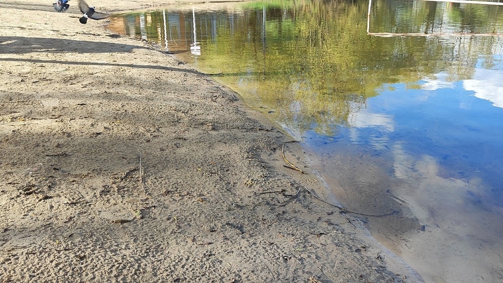 Плодородный слой почвы уничтожили у Святого озера в Дзержинске при благоустройстве