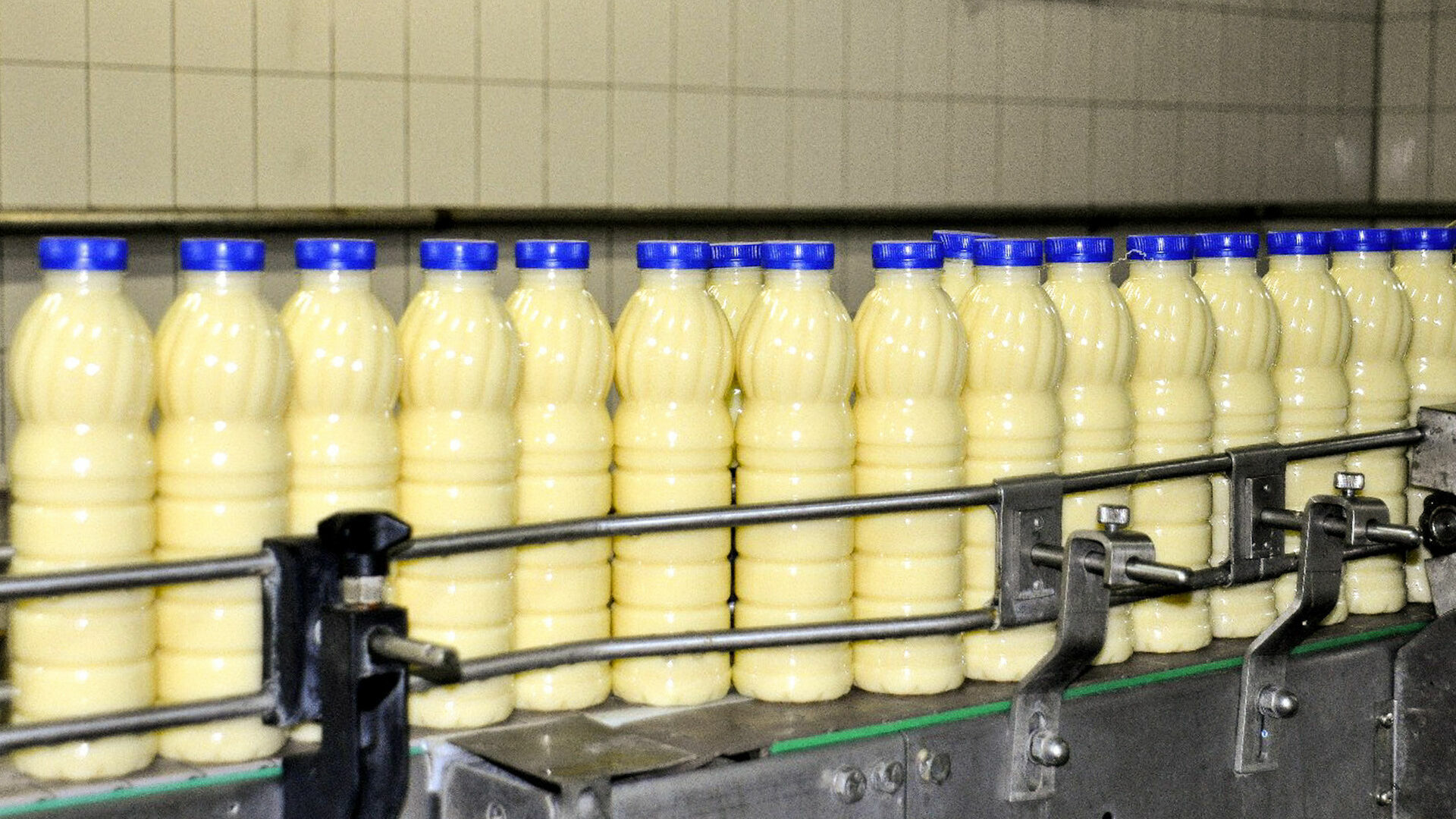 Молоко на произодстве