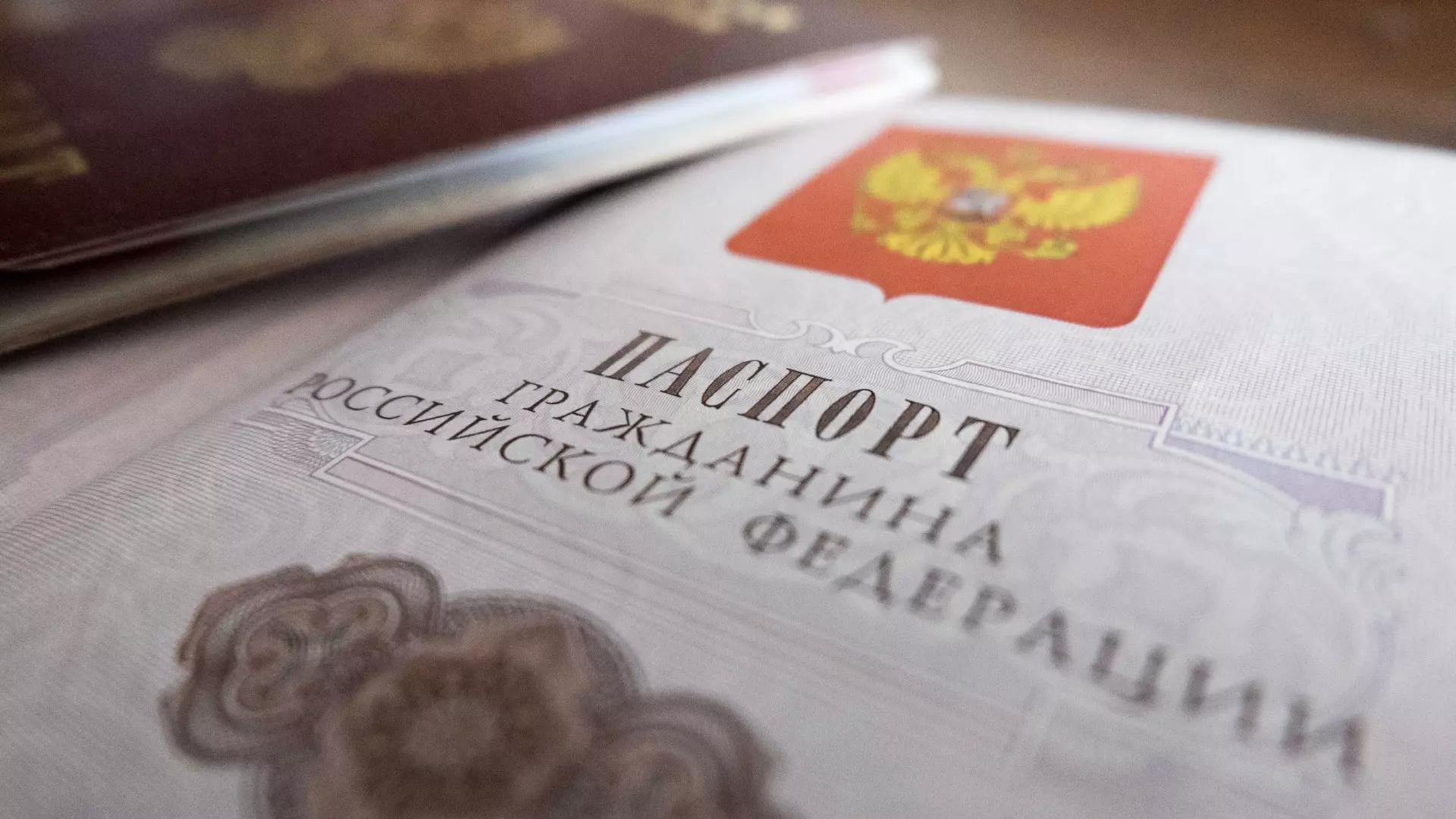 Шадаев: цифровые паспорта безопасны для россиян