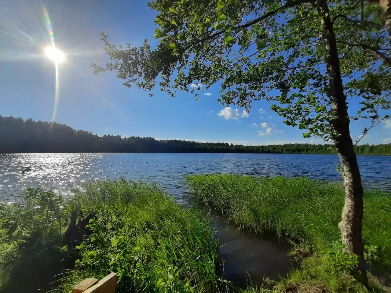 Одним из мистических мест в Нижегородской области называют озеро Светлояр