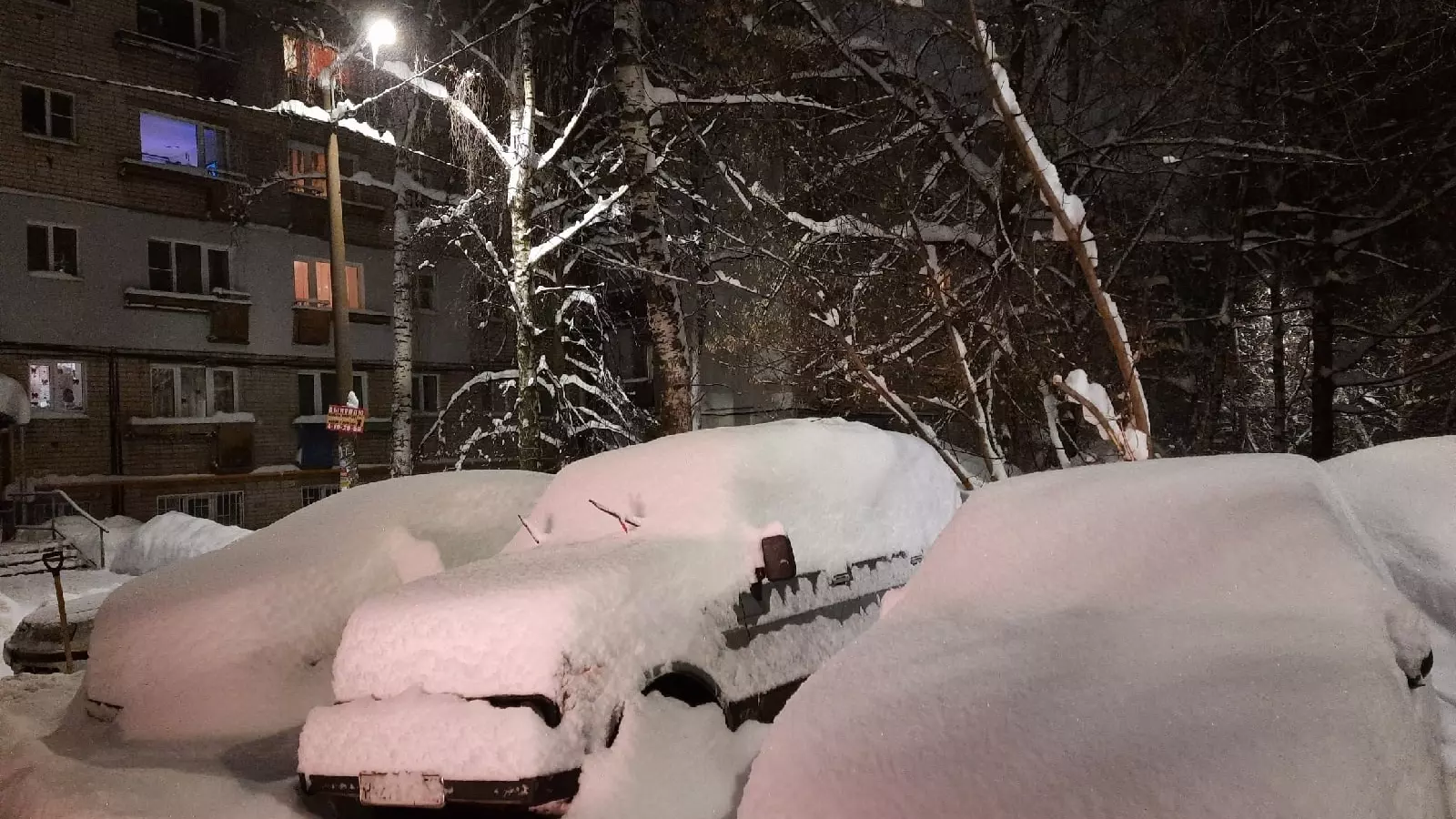 До 10 см снега выпадет в Нижегородской области в ночь на 21 ноября