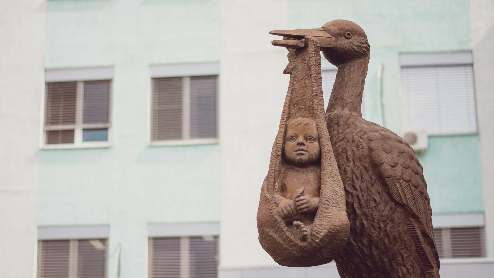 Новорожденного ребенка пытаются изъять из семьи живодеров в Заволжье