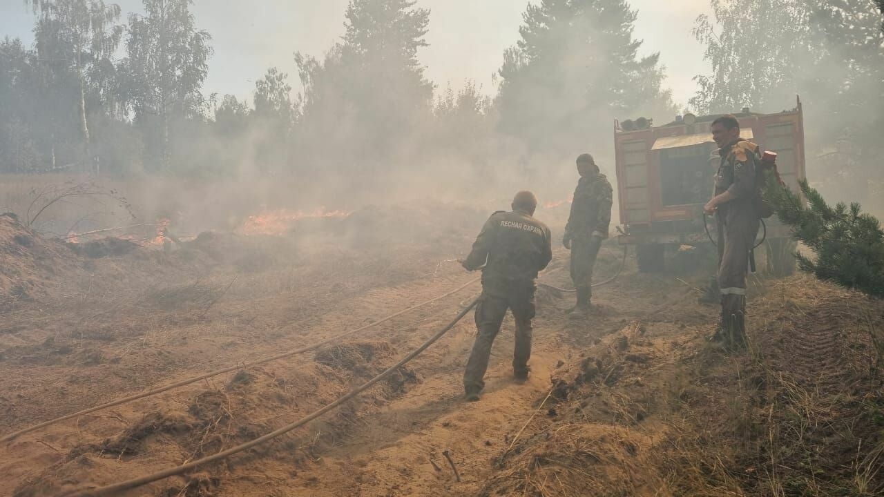 Случаи природных пожаров участились в Нижегородской области