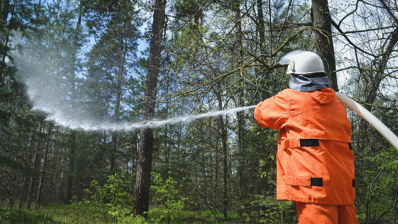 Более 90% лесных пожаров в Нижегородской области ликвидируют в течение первых суток