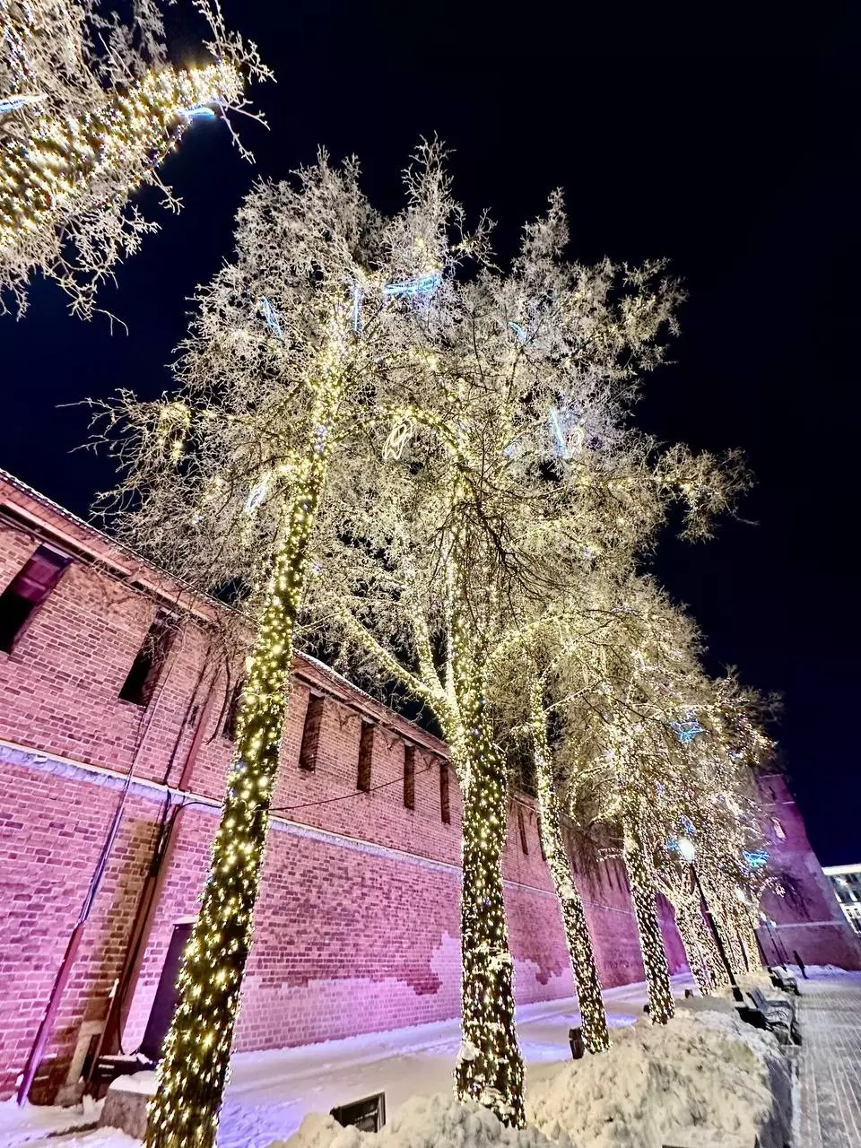 Центр Нижнего Новгорода украсили к Новому году