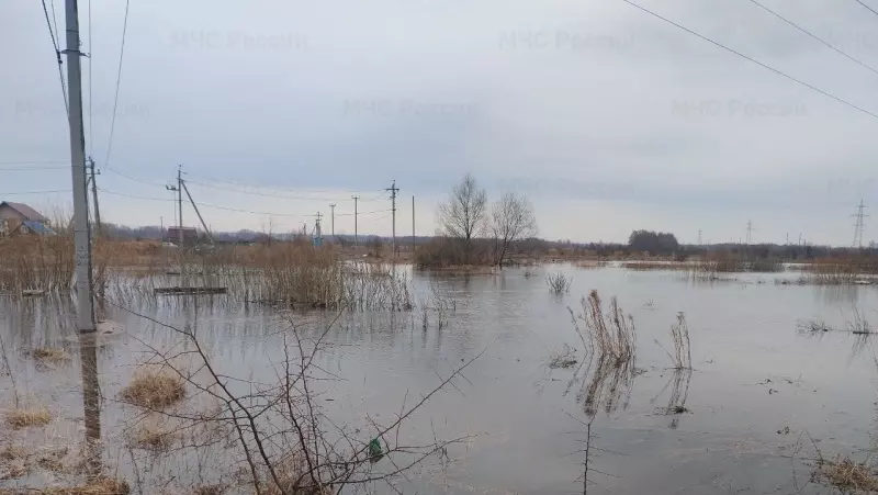 Семь приусадебных участков подтопило в Нижегородской области