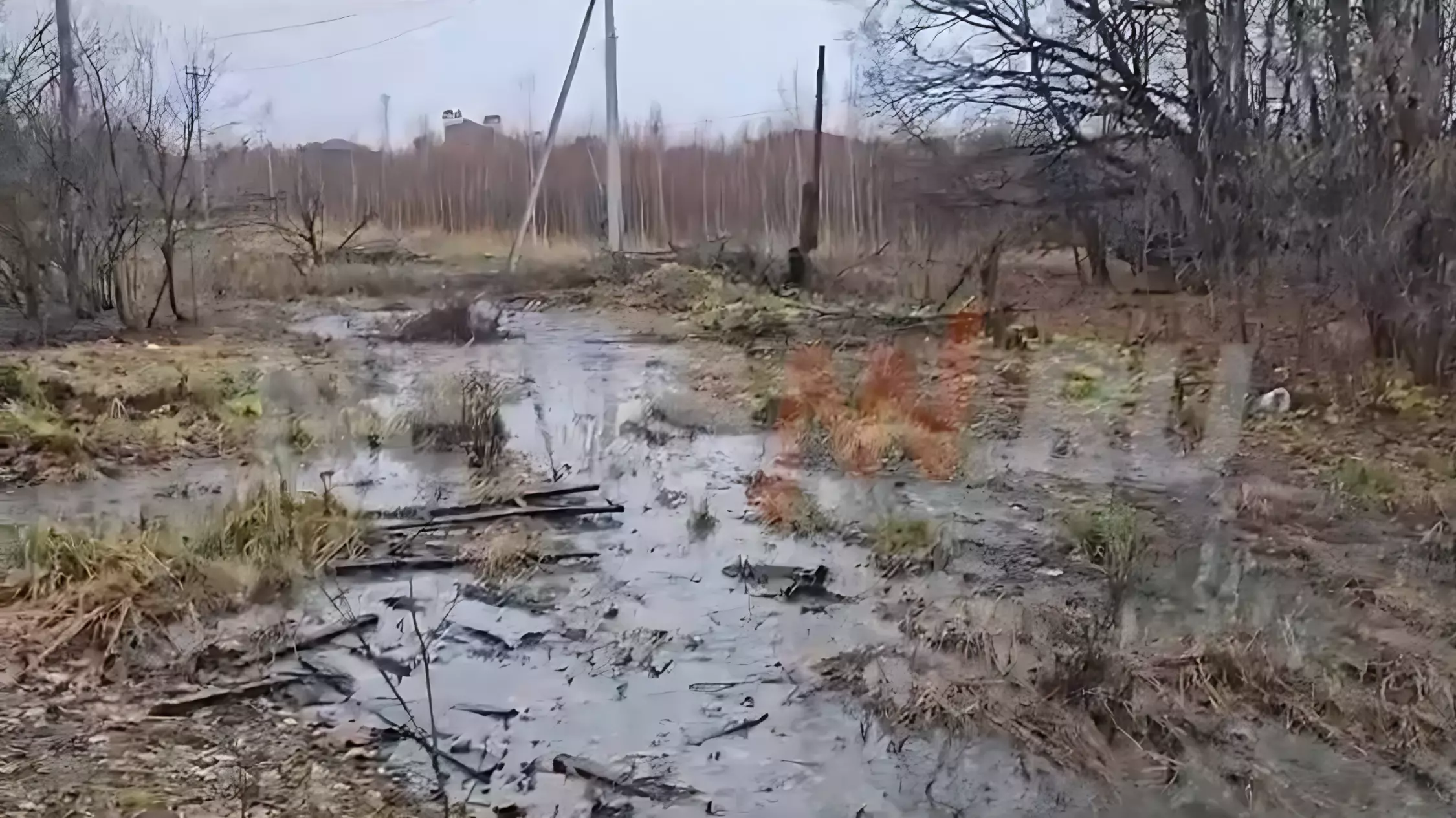 Жители Кстовского района жалуются на сброс канализации в поле