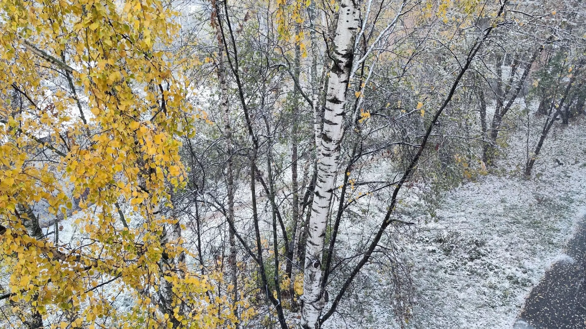Снег и дождь ожидаются в Нижегородской области