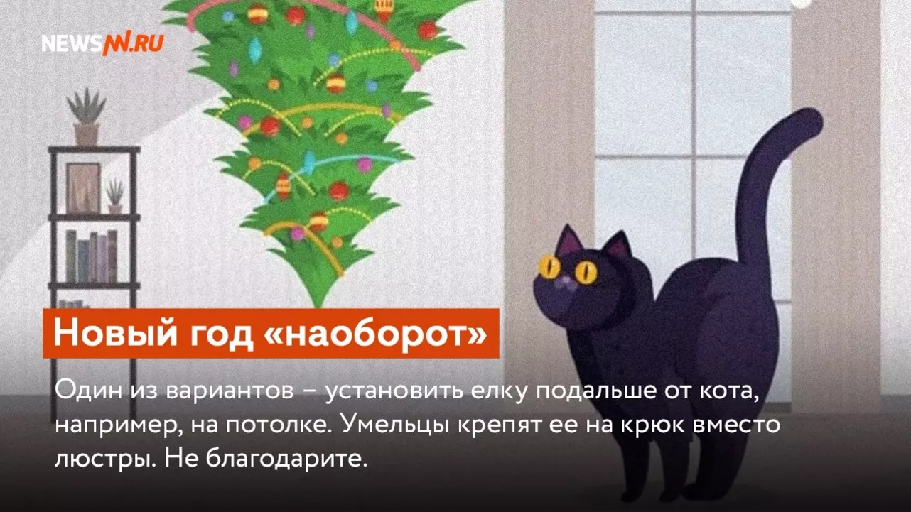 Лайфкахи для защиты новогодней елки от кота