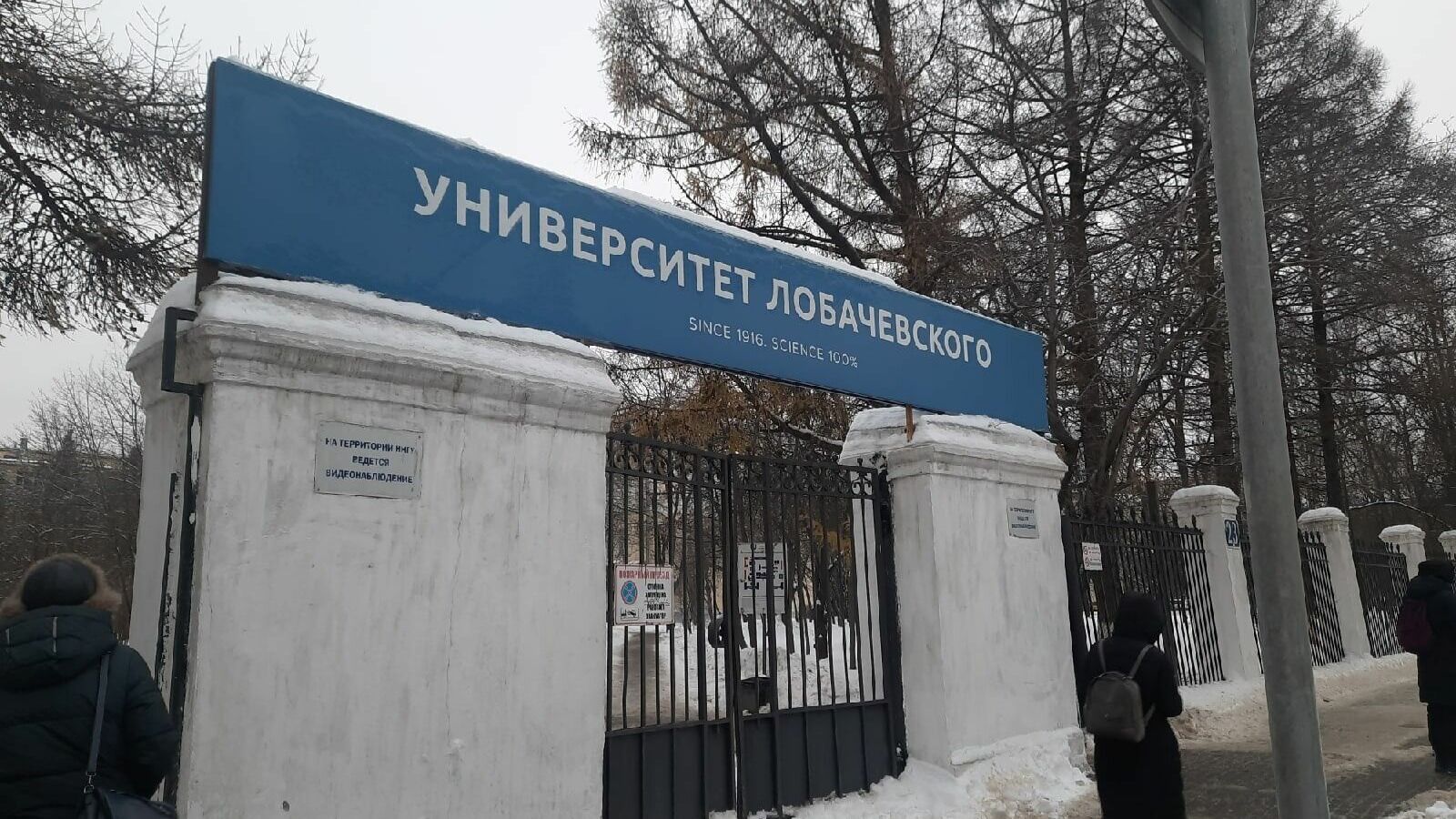 Елену Загайнову уволили с должности ректора ННГУ за многочисленные нарушения