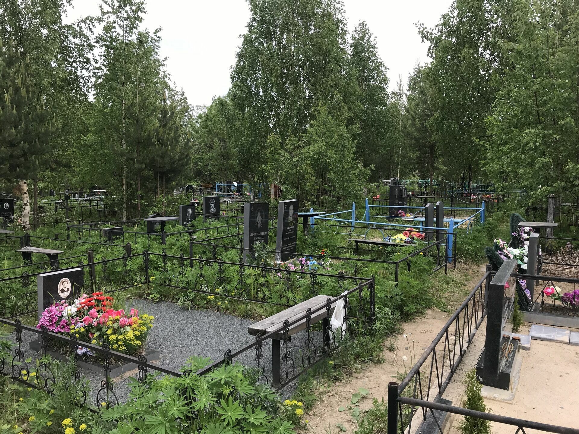 Новые кладбища могут появиться под Богородском