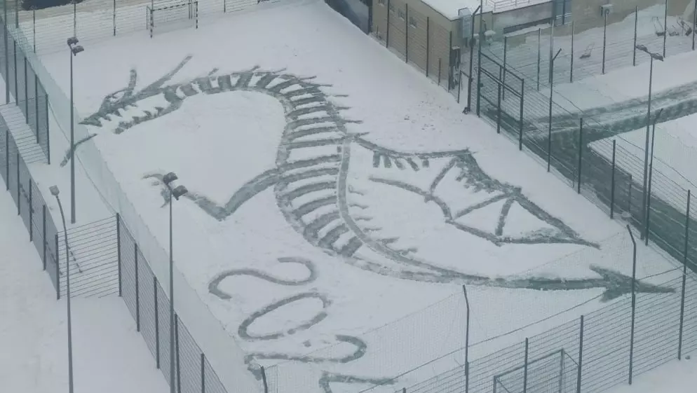 Нижегородец нарисовал огромного дракона на футбольном поле