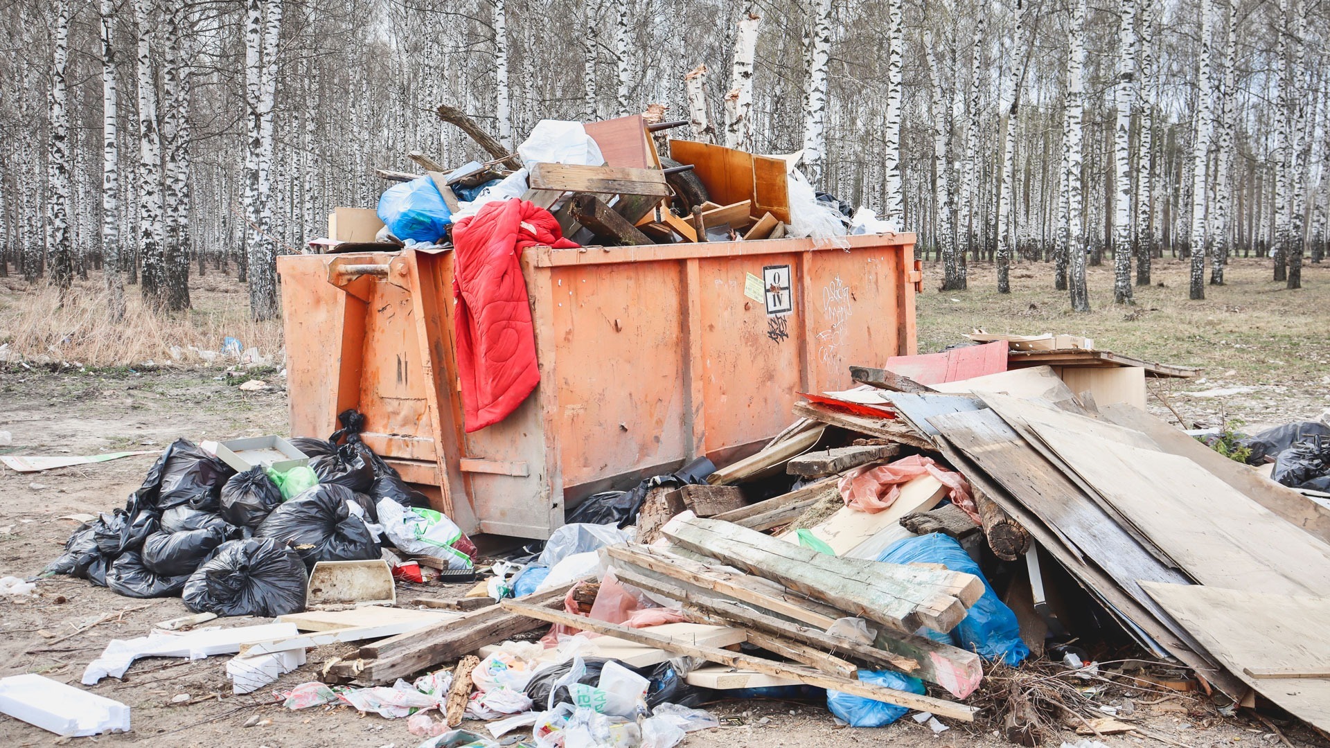 Регоператора лишили статуса из-за невывоза мусора в Нижегородской области
