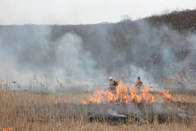 Пожар в Мордовском заповеднике перекинулся на поселок Нижегородской области