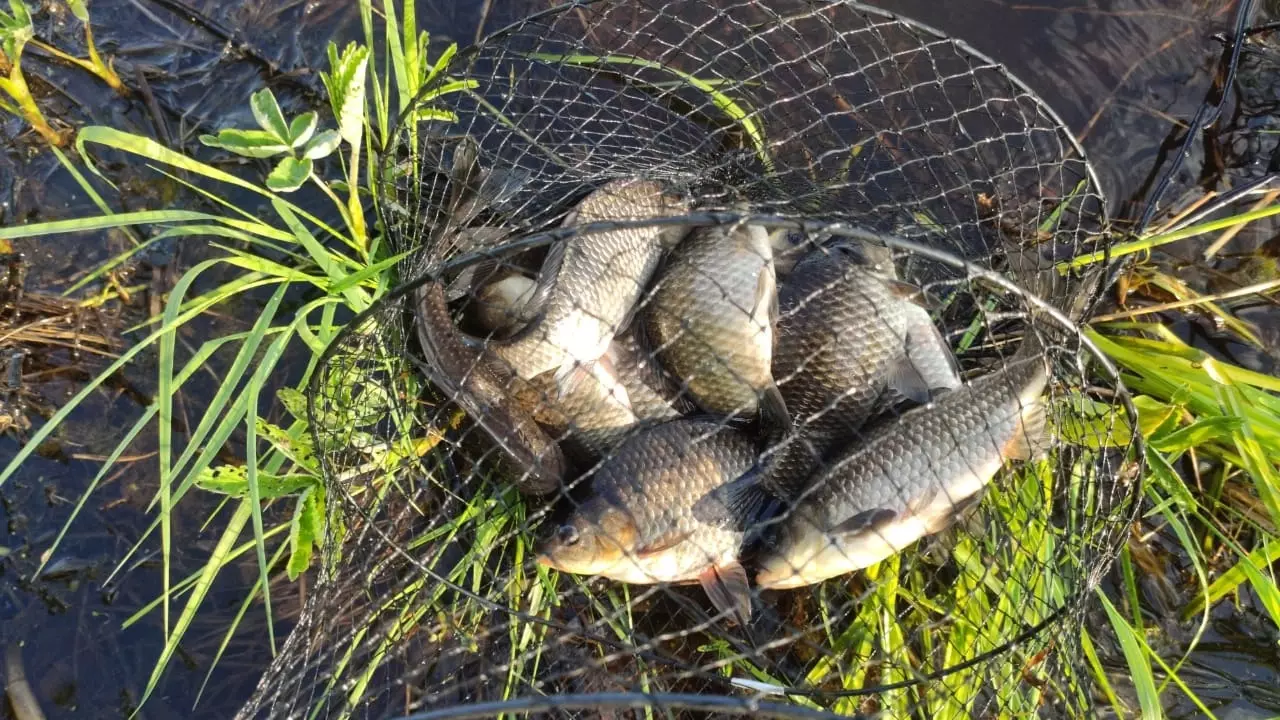 С 1 апреля в Нижегородской области вводятся ограничения на любительское рыболовство