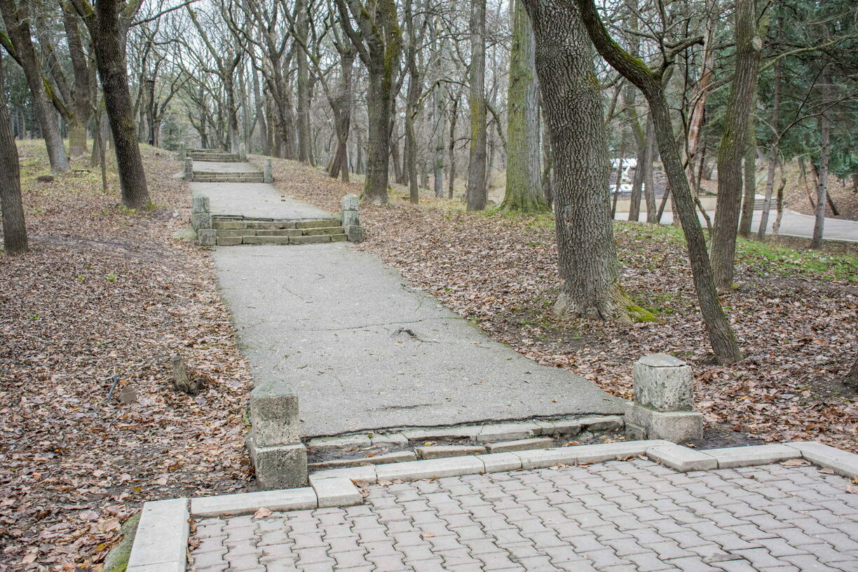 На кладбище, в саду и в парке: Где нижегородцы уже подцепили клещей