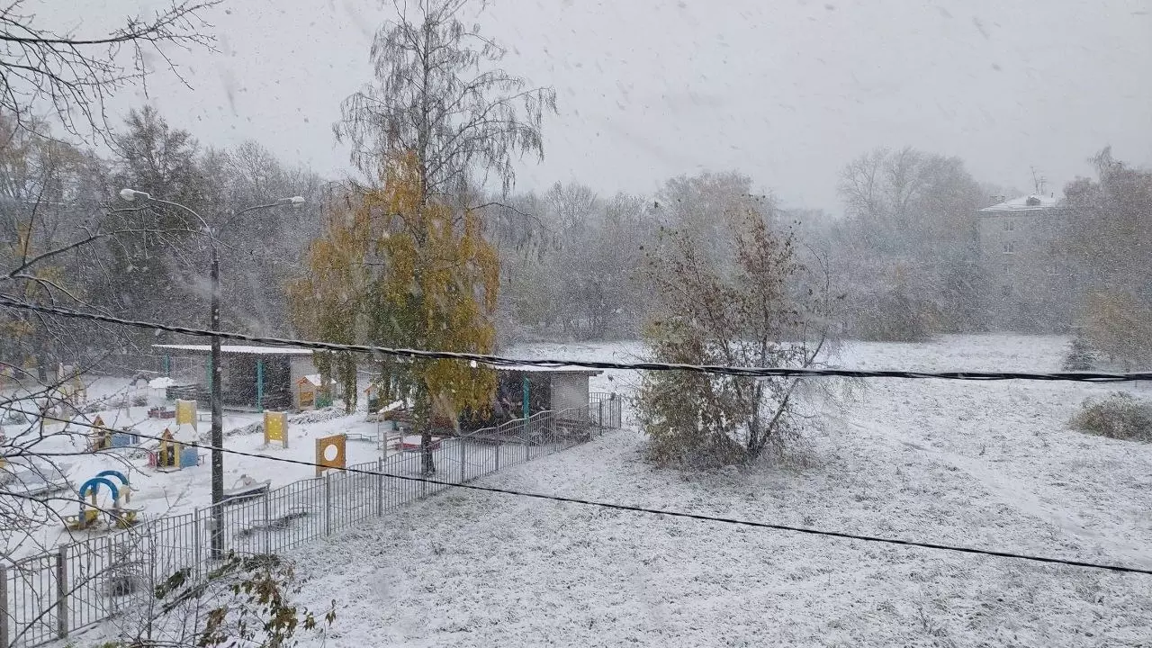 Синоптики обещают снег в Нижнем Новгороде 15 ноября 