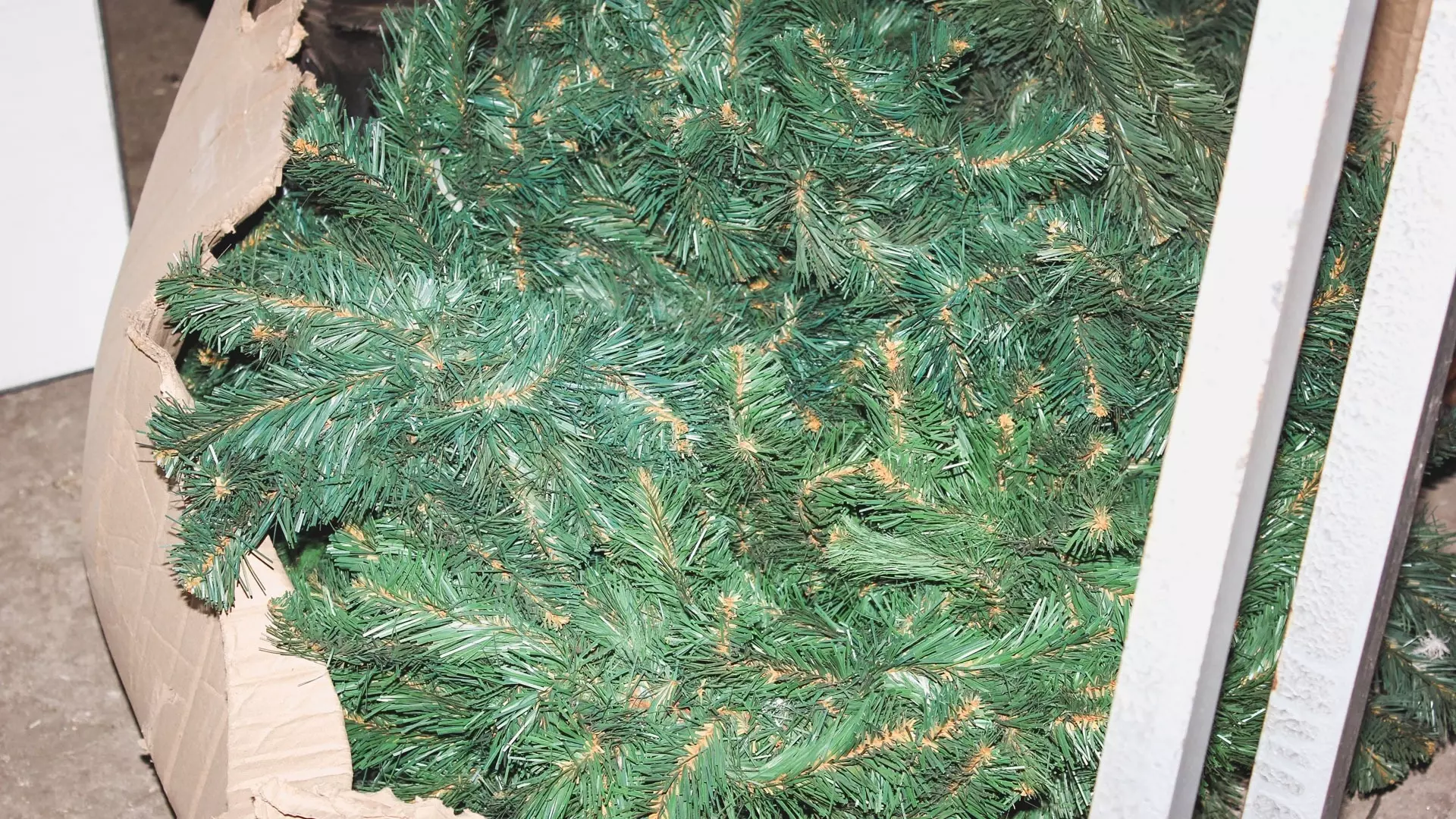 Большинство нижегородцев нарядят елку на Новый год