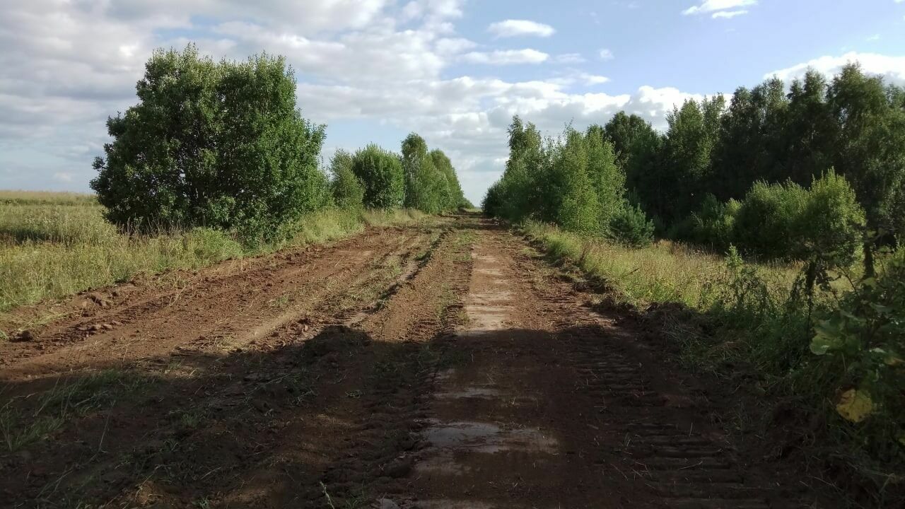 Дорога к Дуброво