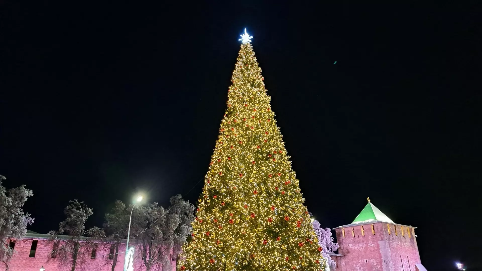 Главную новогоднюю ель установят в Нижнем Новгороде к 10 декабря