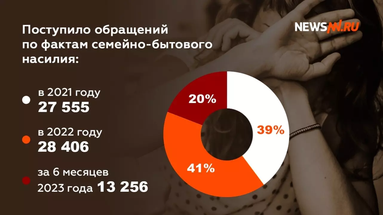 Статистика ГУ МВД по Нижегородской области по семейно-бытовому насилию