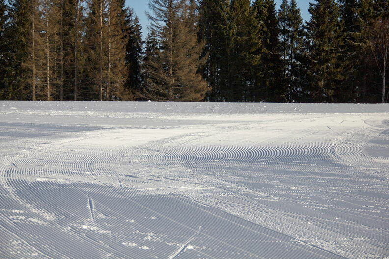 Лыжню откроют в нижегородской «Швейцарии» с 20 декабря