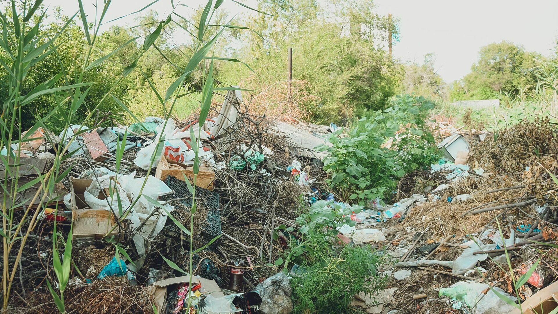 Росприроднадзор нагрянет с проверкой на мусорный полигон в Богородске