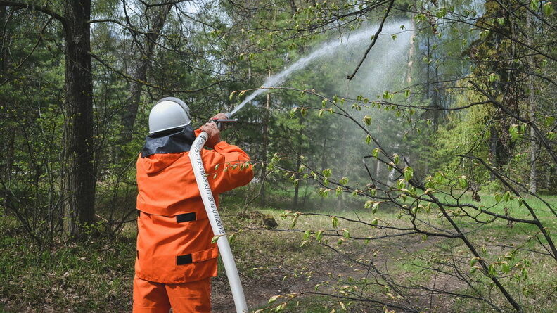 Два лесных пожара произошло в Нижегородской области за сутки
