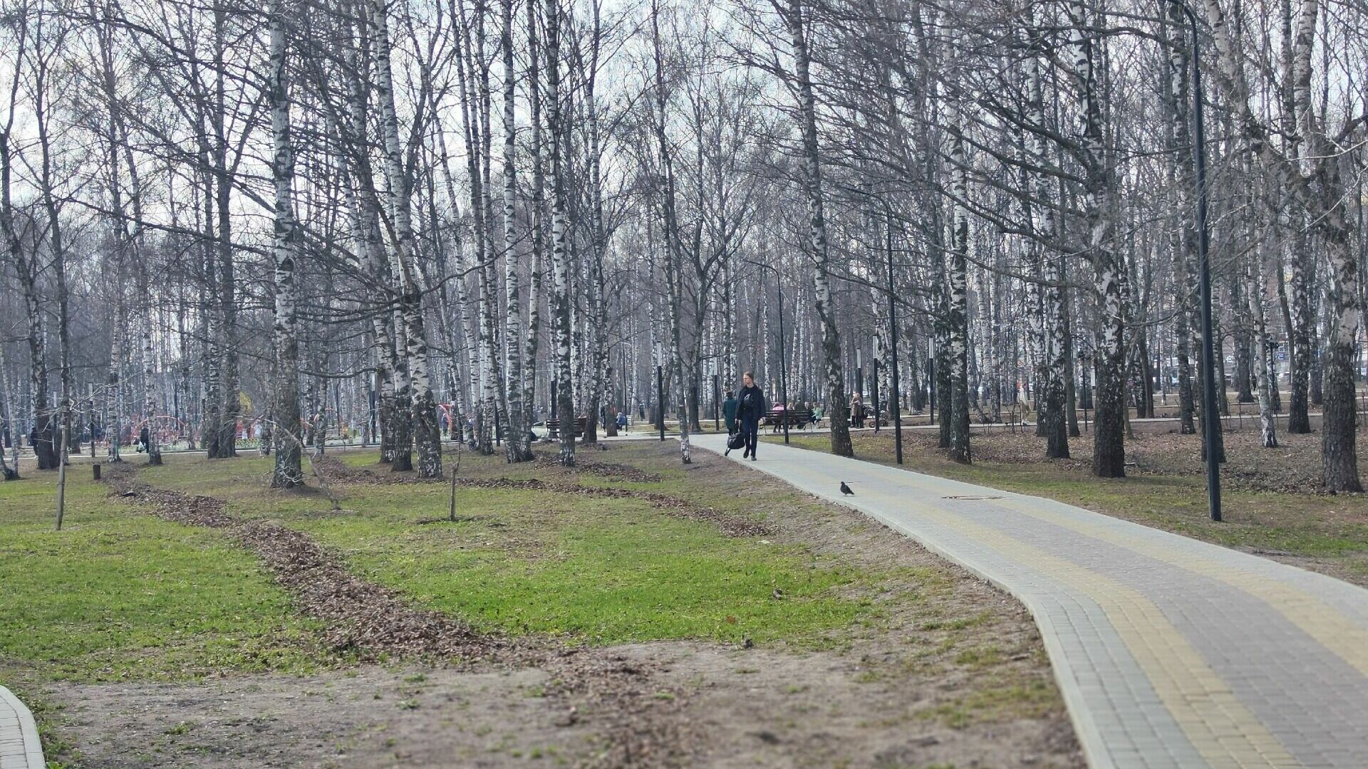 Парк Кулибина в Нижнем Новгороде благоустроят за 123 млн рублей
